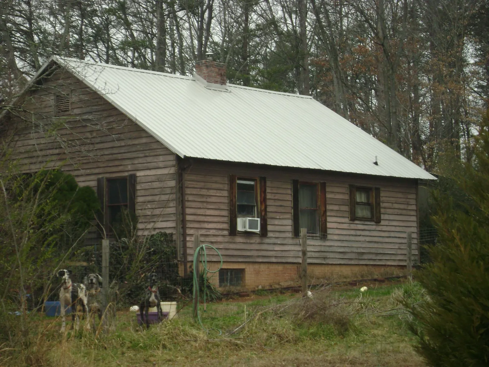 White metal roof on an old wood sided farmhouse, from a Asphalt Shingle Roof Repair job in Endicott
